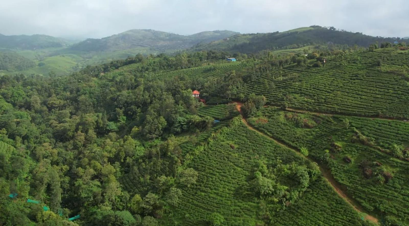 Tea Haven By Yathroam Pension Vagamon Buitenkant foto